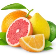 Citrus fruits isolated on white