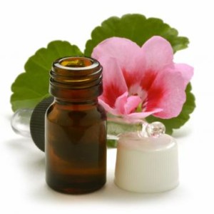 rose geranium oil (1024x678)