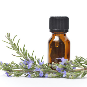 A small bottle of essential oil with sprigs of fresh Rosemary, one with flowers.